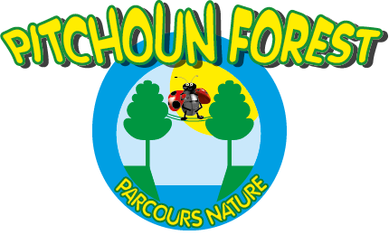 Logo Pitchoun Forest