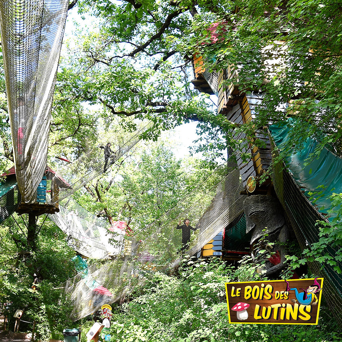 Bois des Lutins - Course in the trees of the leisure park