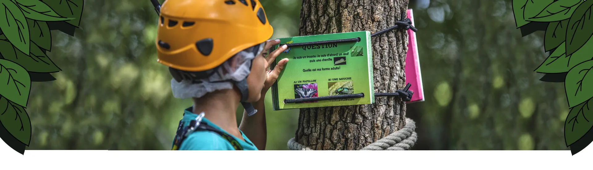 Enfant répondant à une question fixée en haut d'un arbre